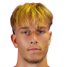 Viktor Willems portrait