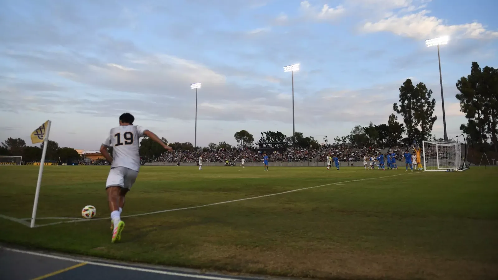 Anteater Stadium stadium