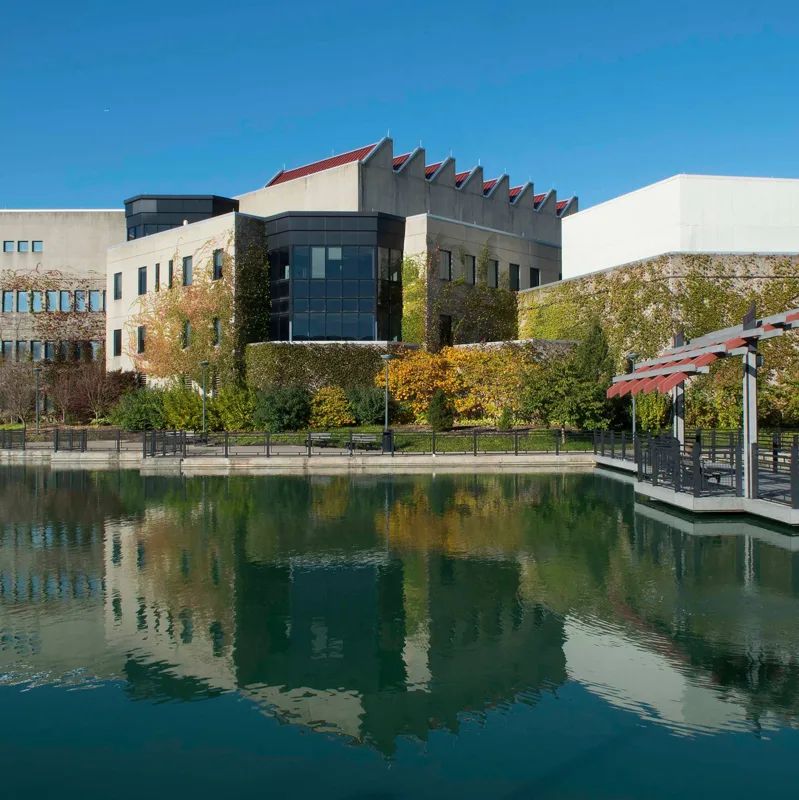 Northern Kentucky University