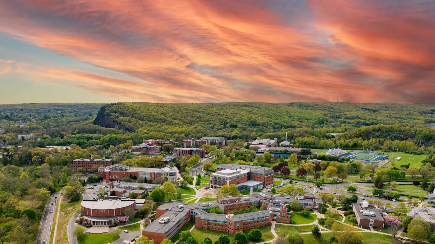 University of New Haven