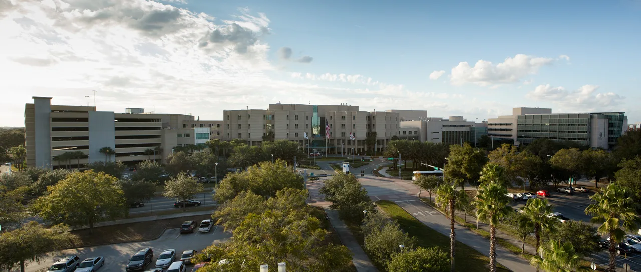 University of South Florida