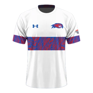 Home kit artwork