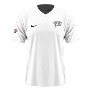 Home kit artwork