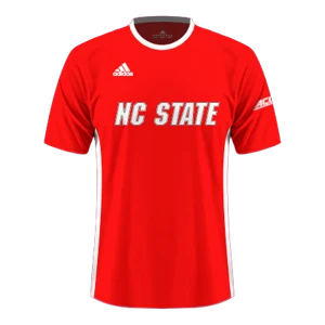 Home kit artwork
