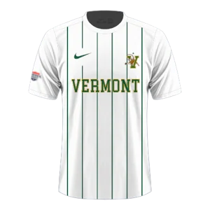 Home kit artwork