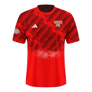 Home kit artwork