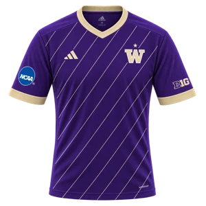 Home kit artwork