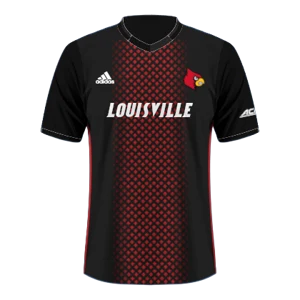 Home kit artwork
