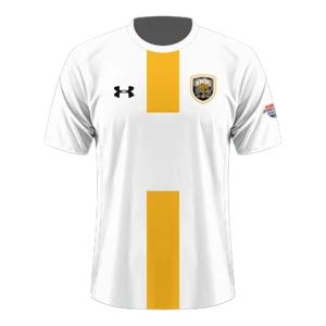 Home kit artwork